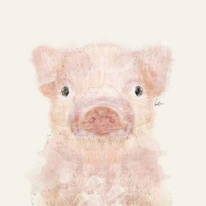 Meet your Posher, Shea